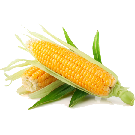 4 1